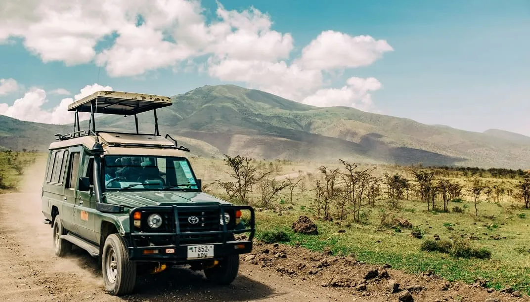 Wildlife safari scene in Tanzania
